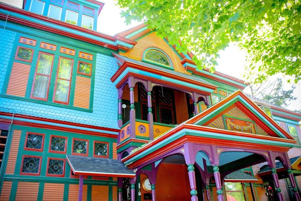 painted lady