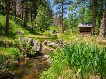 ranch for sale