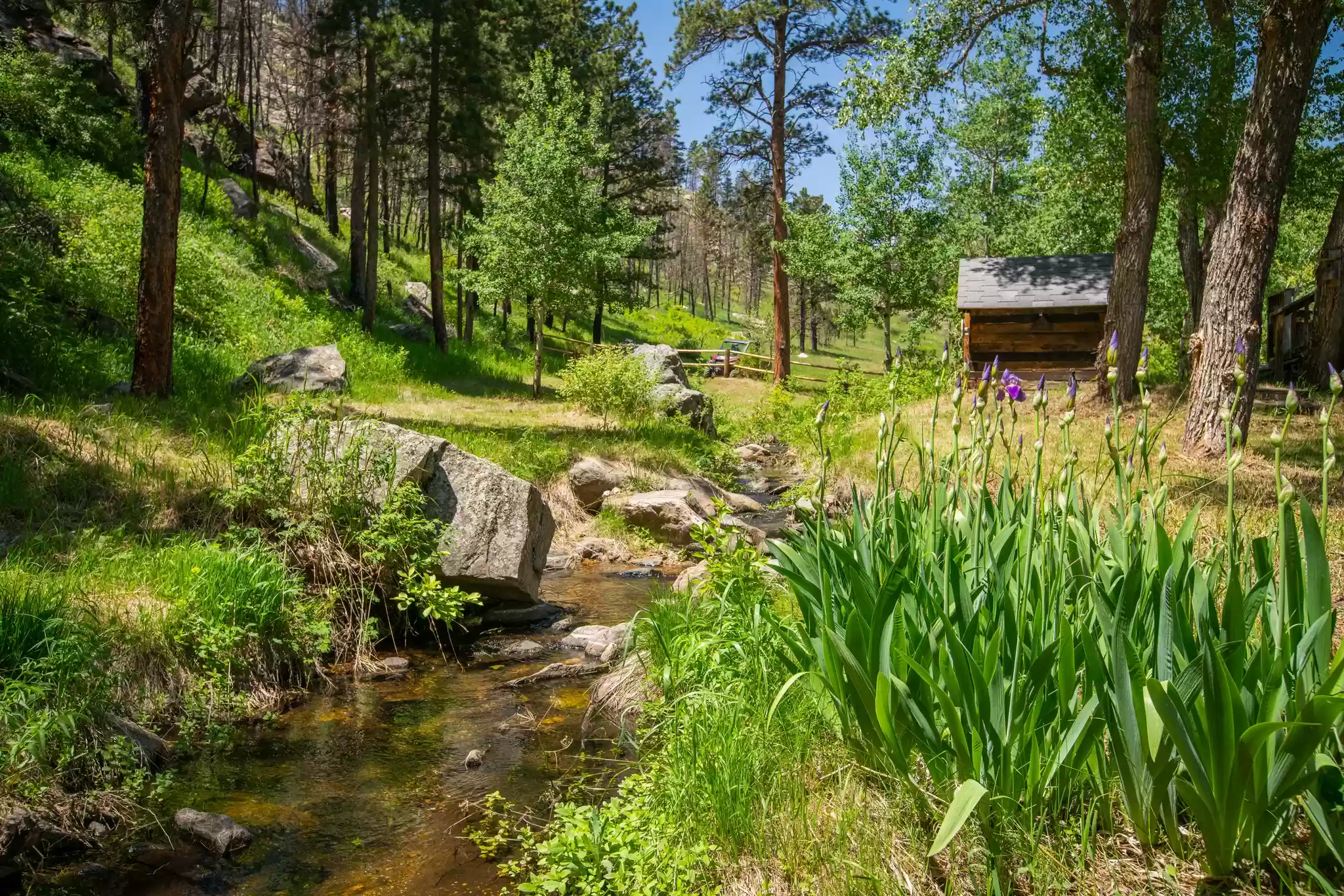 ranch for sale