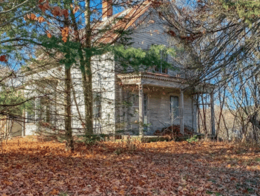 fixer upper