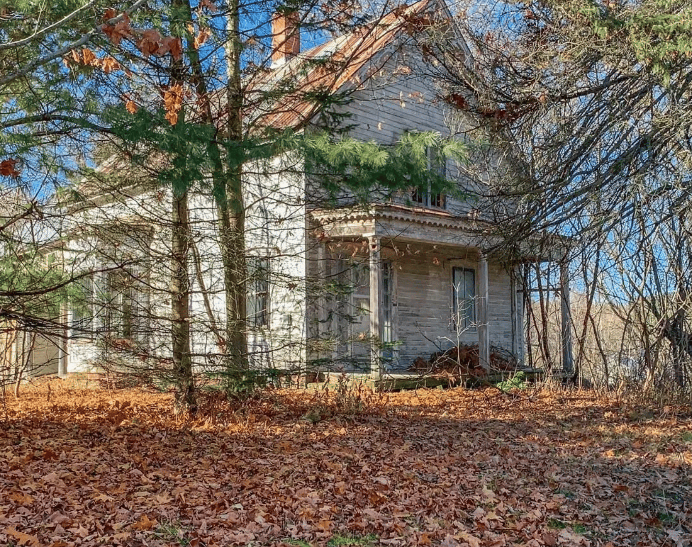 fixer upper