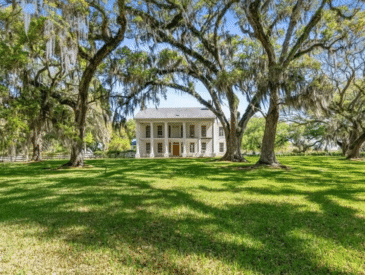 plantation for sale