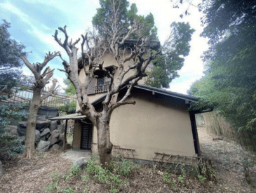 Japan home for sale