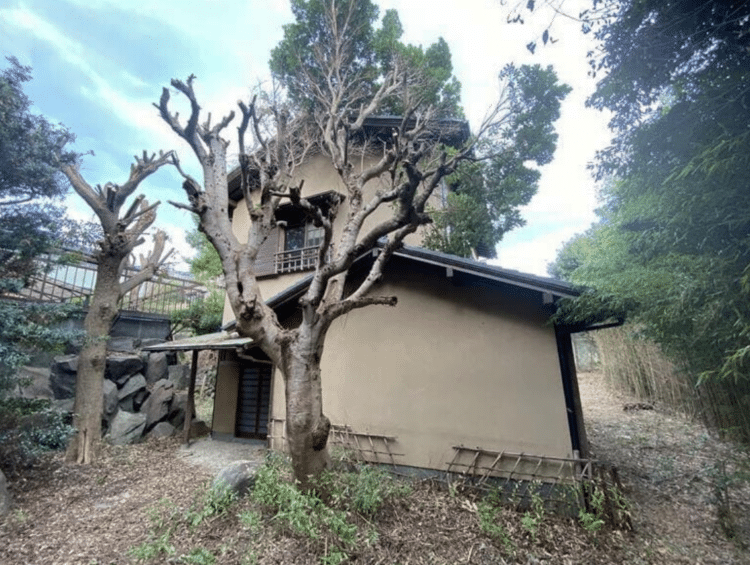 Japan home for sale