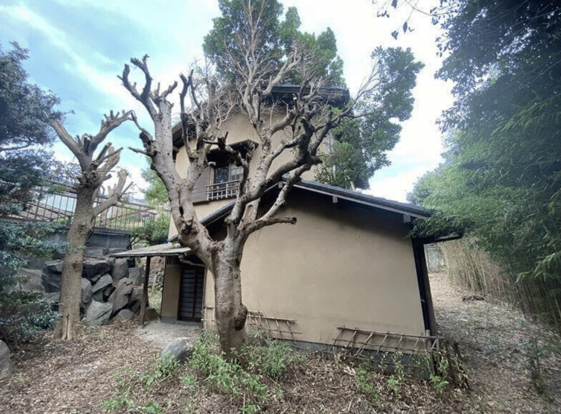 Japan home for sale
