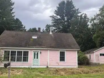 New England pink lady