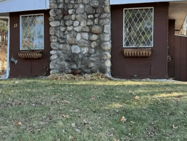 cottage