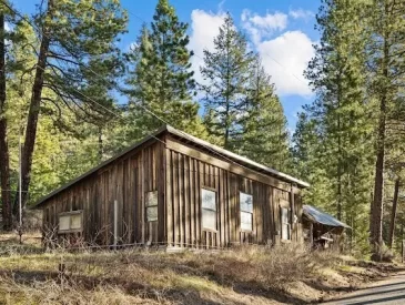 washington cabin